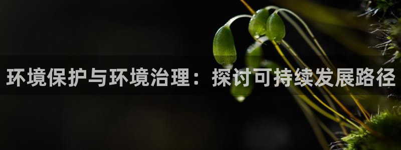 凯发官方首页：环境保护与环境治理：探讨可