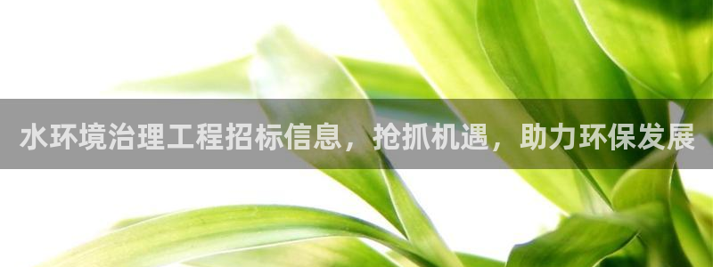 凯发网娱乐官网登录：水环境治理工程招标信息，抢抓机遇，助力环保发展