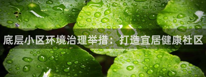 凯发网娱乐官网登录|底层小区环境治理举措