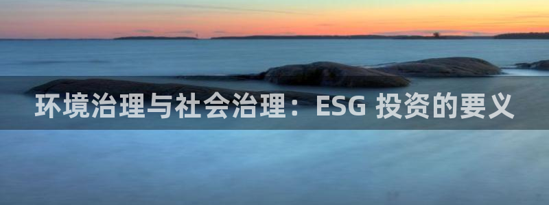 凯发k8国际首页登录|环境治理与社会治理：ESG 投资的要义